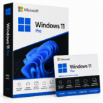 Windows 11 Pro